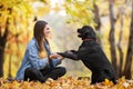 Girl with her dog labrador in autumn sunny park Royalty Free Stock Photo