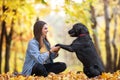 Girl with her dog labrador in autumn sunny park Royalty Free Stock Photo