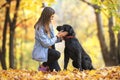 Girl with her dog labrador in autumn sunny park Royalty Free Stock Photo