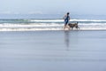 Girl with her dog runs on the water on the Pacific coast