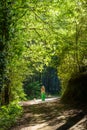 A girl and her dog walking along a hiking trail in the troodos mountains,cyprus,3 Royalty Free Stock Photo