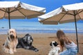 Girl and her dogs enjoy vacation at the beach