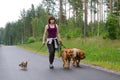 A girl and her dogs walking in a summer forest Royalty Free Stock Photo