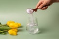 The girl with her hand pours white collagen powder with a wooden spoon into a transparent glass of water on a green background