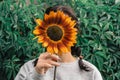 Girl hides her face behind a sunflower. Royalty Free Stock Photo