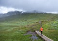 girl hikes in hallingskarvet national park of norway Royalty Free Stock Photo