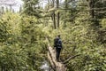 Girl hiking in Canada Ontario Lake of two rivers natural wild landscape near the water in Algonquin National Park Royalty Free Stock Photo