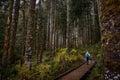 Girl hiking with dog in forest