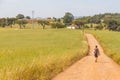 Girl hiking in Farm field with wheal plantation and trees in Va