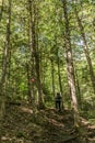 Girl hiking in the Forest near lake in La Mauricie National Park Quebec, Canada on a beautiful day Royalty Free Stock Photo