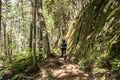 Girl hiking in the Forest near lake in La Mauricie National Park Quebec, Canada on a beautiful day Royalty Free Stock Photo