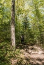 Girl hiking in the Forest near lake in La Mauricie National Park Quebec, Canada on a beautiful day Royalty Free Stock Photo