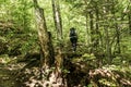 Girl hiking in the Forest near lake in La Mauricie National Park Quebec, Canada on a beautiful day Royalty Free Stock Photo