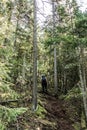 Girl hiking in the Forest near lake in La Mauricie National Park Quebec, Canada on a beautiful day Royalty Free Stock Photo