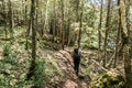 Girl hiking in the Forest near lake in La Mauricie National Park Quebec, Canada on a beautiful day Royalty Free Stock Photo