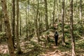 Girl hiking in the Forest near lake in La Mauricie National Park Quebec, Canada on a beautiful day Royalty Free Stock Photo