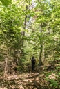 Girl hiking in the Forest near lake in La Mauricie National Park Quebec, Canada on a beautiful day Royalty Free Stock Photo