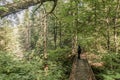 Girl hiking in the Forest near lake in La Mauricie National Park Quebec, Canada on a beautiful day Royalty Free Stock Photo