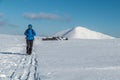 Girl hiking in Krkonose on sunny winter day with Snezka and Lucni bouda in background, Krkonose mountains, Czech republic Royalty Free Stock Photo