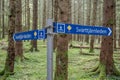 Girl hiking at Lake Ragnerudssjoen in Dalsland Sweden beautiful nature forest pinetree swedish Royalty Free Stock Photo