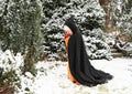 Girl in historical dress praying