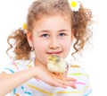 Girl holding baby chicken Royalty Free Stock Photo