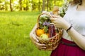 A girl is holding a basket of fruit for a picnic. Going on a picnic. Royalty Free Stock Photo