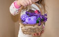 A girl holding a basket with painted eggs and flowers in lilac flowers, for Easter. Royalty Free Stock Photo