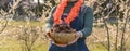 The girl is holding a bowl with donuts. Traditional pastries for King`s Day festival in the Netherlands. Family picnic in the par Royalty Free Stock Photo