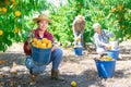 Girl holding bucket of peaches Royalty Free Stock Photo