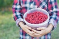 The girl is holding a bucket of ripe fresh raspberries. Royalty Free Stock Photo