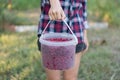 The girl is holding a bucket of ripe fresh raspberries Royalty Free Stock Photo