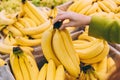 Girl holding a bunch of bananas in the supermarket Royalty Free Stock Photo