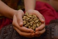 Indian girl holding cardamom pods in her hands