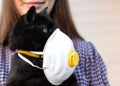 Girl Holding Cat in Hands. Cat wearing medical mask because of Coronavirus or air pollution or virus epidemic in the city. Place Royalty Free Stock Photo