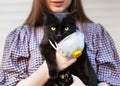 Girl Holding Cat in Hands. Cat wearing medical mask because of Coronavirus or air pollution or virus epidemic in the city. Place Royalty Free Stock Photo