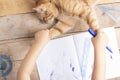 Girl holding cat paws, kitten lying on wooden table Royalty Free Stock Photo