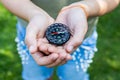 Girl holding the compass. Hands of a teenager holding a liquid compass. Red compass needle points north. Green grass background Royalty Free Stock Photo