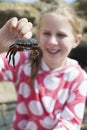 Young Girl Holding Crab Found In Rockpool On Beach Royalty Free Stock Photo