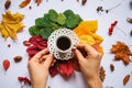 Girl drinking tea in the fall Royalty Free Stock Photo