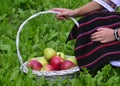 Girl holding fresh harvested apples in a basket