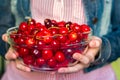 The girl holding glass bowl full of red ripe cherries. Royalty Free Stock Photo