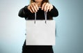 Girl holding a grey gift bag. Close up. Isolated background
