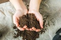 The girl is holding the ground. The girl will transplant potted plants at home. Earth, seedling, Spring, hands, the concept of pro