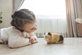 A girl holding a guinea pig in her arms, on a black background. a lot of joy and fun Royalty Free Stock Photo