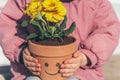 Girl holding in hands funny home flower,plant yellow primula,primrose in ceramic pot.Sitting on bench in park.Happy spring is Royalty Free Stock Photo