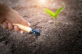 A girl holding hands that plowed the soil and took care of the seedlings World environment day concept Care for seedlings to grow Royalty Free Stock Photo