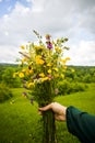 Girl holding in her hand a beautiful bouquet with multi-colored wild flowers. Amazing bunch of wilf flowers in the nature Royalty Free Stock Photo