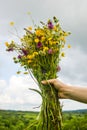 Girl holding in her hand a beautiful bouquet with multi-colored wild flowers. Amazing bunch of wilf flowers in the nature