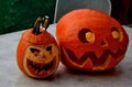 Girl holding in her hand a small bird who stunned by the window. sits him on a halloween pumpkin with a scary face. puts a great t Royalty Free Stock Photo